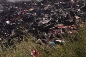30 експертів малайзійської поліції сьогодні вирушать на місце авіакатастрофи "Боїнга"