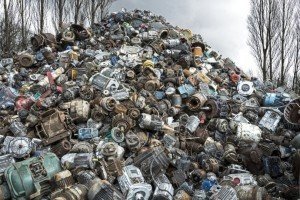 У Китаї виявили вид плісняви, що здатний руйнувати пластмасу