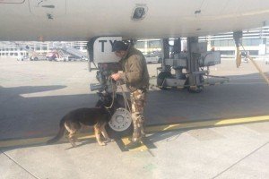 У французькому аеропорту через сигнал тривоги евакуювали пасажирів