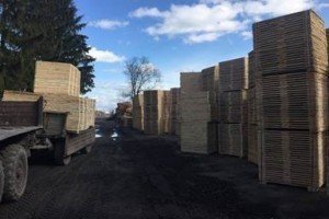 СБУ попередила контрабанду пиломатеріалів на 40 млн гривень