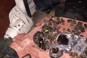 СБУ затримала скупників бурштину з унікальним двокілограмовим каменем