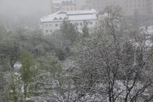 У Львівській області випав сніг: оголошено штормове попередження