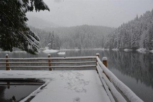 Вночі в Карпатах випало до 20 см снігу