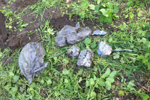 В одеському парку знайшли пакети із гранатами і АК 