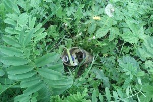Штаб АТО оприлюднив докази застосування бойовиками ударних безпілотників 