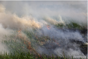 У Росії горить понад мільйон гектарів лісу &ndash; Greenpeace