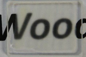 У США вчені винайшли прозору деревину