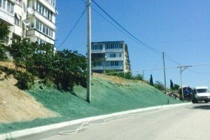 У Севастополі пофарбували землю в колір трави, щоб догодити російському прем'єру