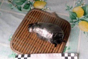 У Києві пенсіонерка принесла додому вибухівку, яку знайшла біля сміттєбаку