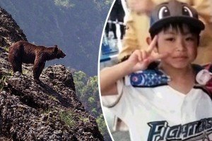 В Японії батьки для покарання залишили 7-річного сина в лісі і загубили його