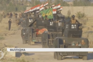 Іракські війська відбили у терористів ІД місто Фаллуджа