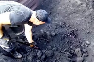На Волині у вантажному потязі виявили 15 тис. контрабандних цигарок