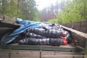 Прикордонники затримали волинян, що намагалися провезти майже 2 тонни телячих туш до Білорусі