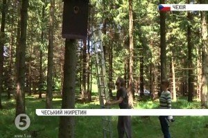 "Розумне гніздо" – спостерігай за пернатими у режимі реального часу та транслюй в Інтернет