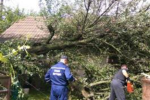 В Івано-Франківській області через негоду загинула жінка