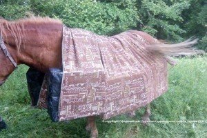 На Буковині затримали коня-контрабандиста, що перевозив 5,5 тис. пачок сигарет