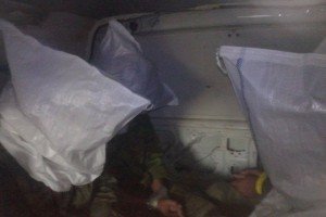 Захоплення бойовиків на Донбасі: фото терористів та подробиці затримання