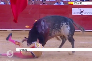 В Іспанії бик убив тореадора під час виступу