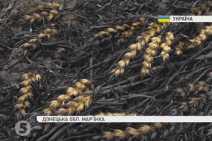 Бойовики обстріляли Мар'їнку: розбиті будинки, знищено урожай хліба
