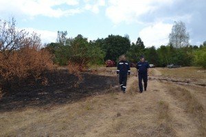Пожежу у Чорнобильській зоні локалізували