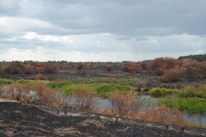Пожежу в чорнобильській зоні відчуження нарешті загасили – ДСНС