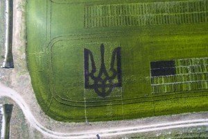 Науковці виростили велетенський тризуб