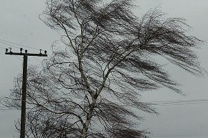 У Києві та області сьогодні - сильний вітер