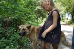 У буферній зоні на Донбасі проживають понад 400 тис. людей - Селещук