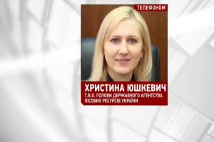 Незаконна вирубка лісів: У Держлісагенстві поділились, скільки посадовців притягнуто до відповідальності