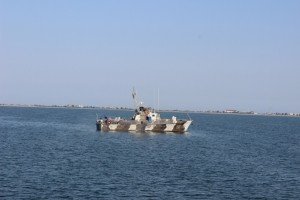 Бунт матросів: МВС повідомило подробиці спецоперації з порятунку полонених на судні поблизу Одеси