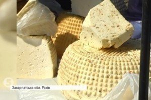 На Закарпатті відбувся традиційний фестиваль сироварів "Гуцульська Бриндзя"