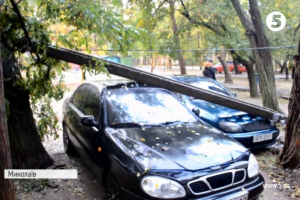 Шквальний вітер на Миколаївщині: пошкоджені автівки та повалені дерева – фоторепортаж