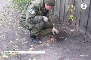 На Чернігівщині подружжя підірвалось на розтяжці: поліція розповіла подробиці