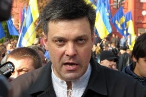 Тягнибок подав до суду на депутата Бундестагу за наклеп