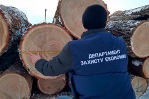 На Житомирщині на нелегальній пилорамі вилучили більше 330 кубів лісу на понад 1,5 млн грн