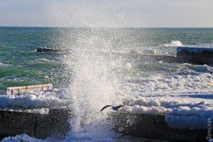 Льодяний шторм: В мережі показали морозні фото гавані Одеського порту