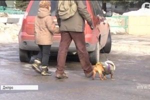 У Дніпрі невідомий ледь не застрелив 6-річну дитину: всі подробиці події та хід розслідування