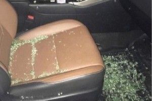У Києві грабіжники напали на народну артистку України