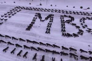 Шана мужності бійців АТО: Національна академія внутрішніх справ приєдналась до #22PushupChallenge – відео
