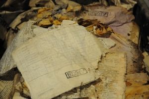На Тернопільщині СБУ виявила схованку унікальної добірки архівних документів ОУН – фото