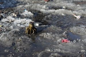 Україна хоче миру, Росія потребує війни – МЗС