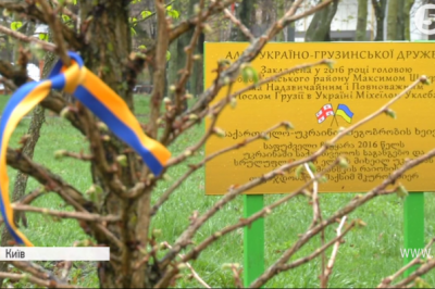 Толока у парку "Відрадний"