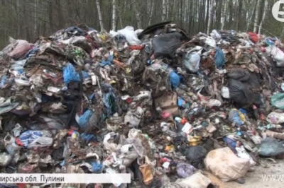 Сміття у Пулині