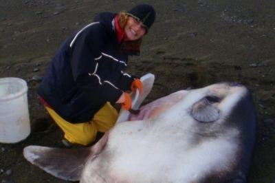 Маріанна Найегаард та Mola tecta