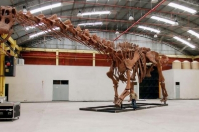 Титанозавр Patagotitan mayorum