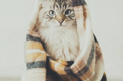 Погода 