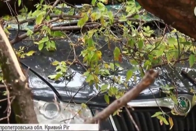 Повалені дерева, негода у Кривому Розі