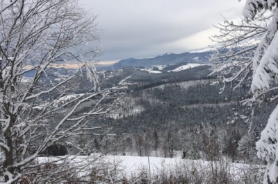 Карпати засніжені