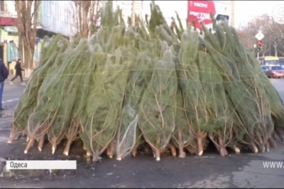Ялинковий базар в Одесі