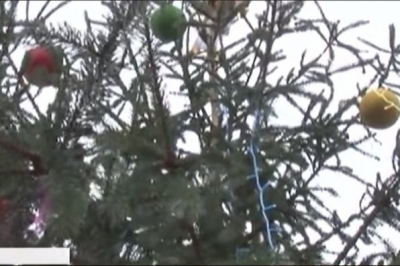 Обікрали ялинку у Черкасах